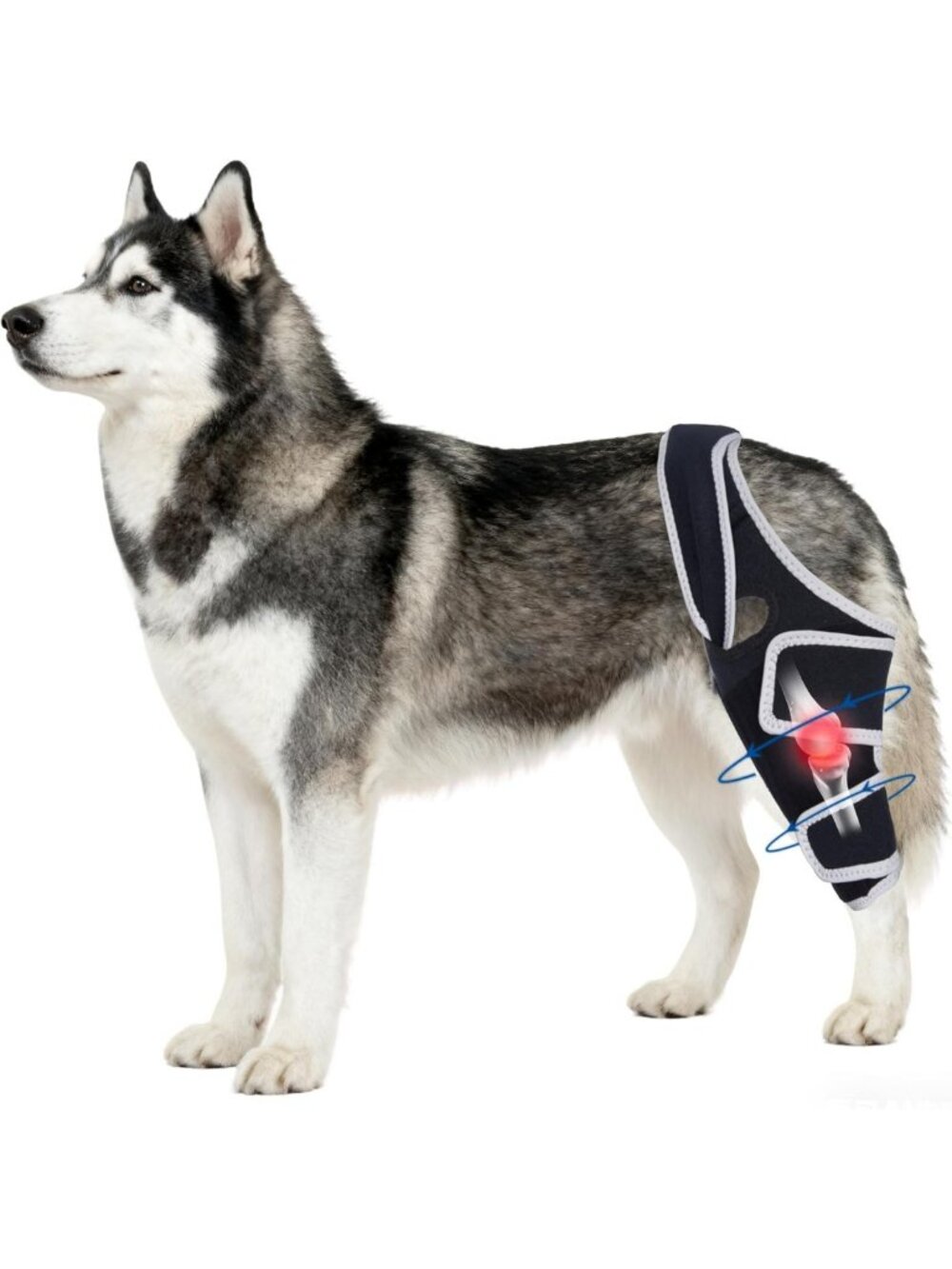 Adjustable Dog Knee Brace for Torn ACL - Metal Stabilizer, Warm & Stable